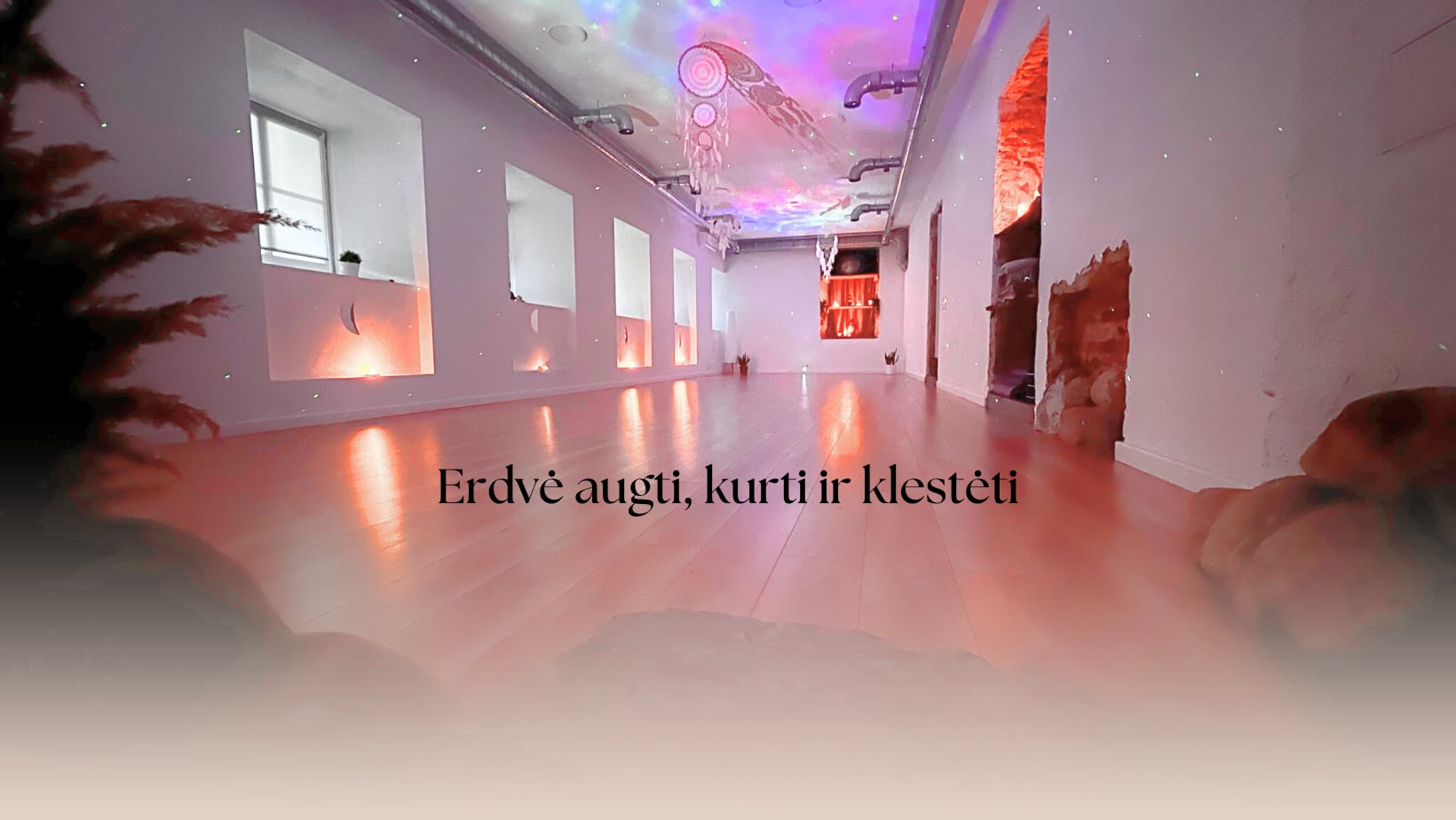 Yantra/Vinyasa/Yoga du matin avec Gina