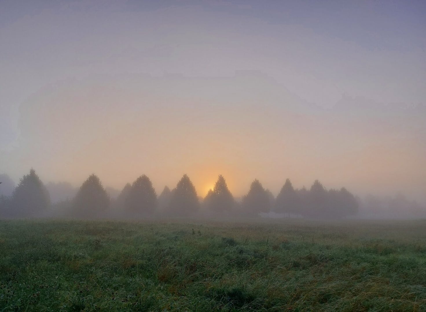 Camp du silence