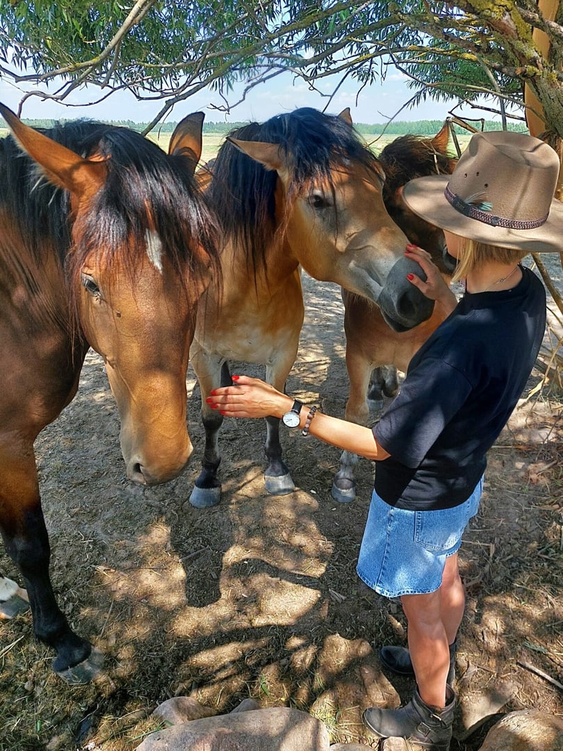 Journée thérapeutique avec les chevaux