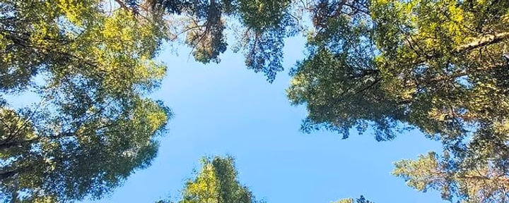 Camp du Silence