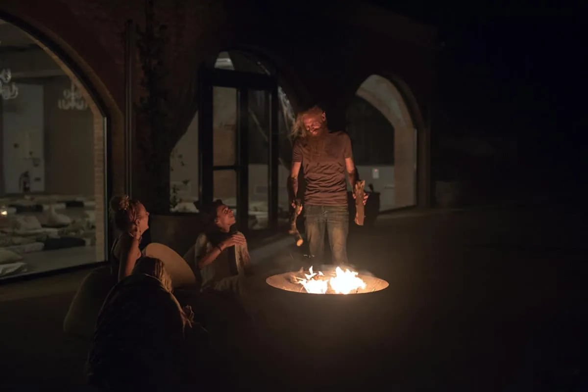 Retraite holistique d'ayahuasca de 6 jours – Petit Comitè Ed