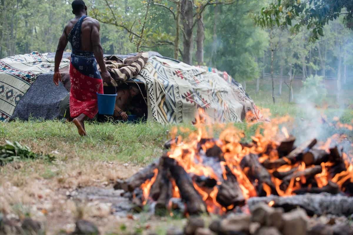 Retraite holistique d'ayahuasca de 6 jours – Petit Comitè Ed