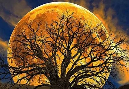 Retraite d'observation de la pleine lune : Recalibrer le cœur