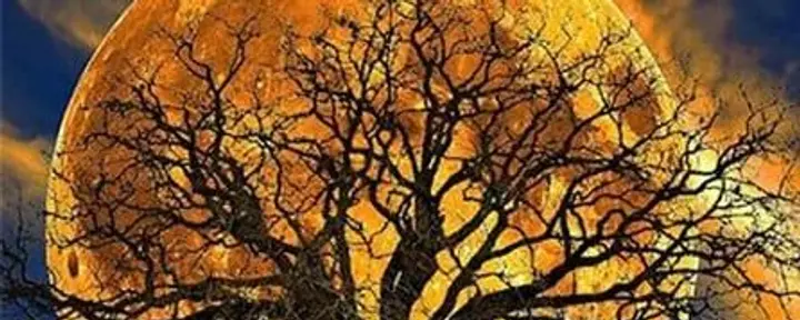 Retraite d'observation de la pleine lune : Recalibrer le cœur