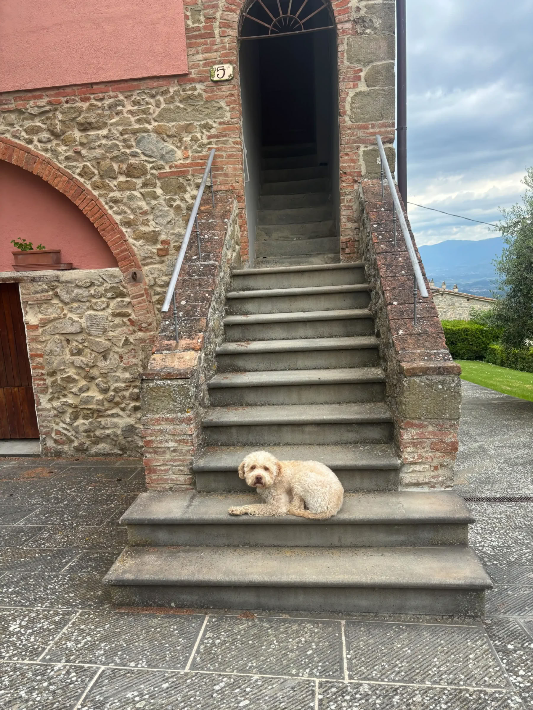 Yoga & Dorloter