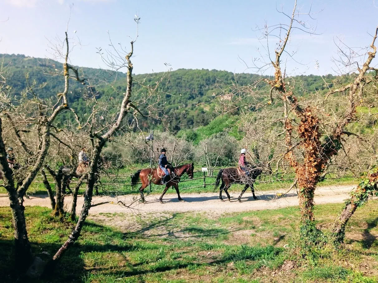 Yoga, Randonnée, Fitness + Équitation