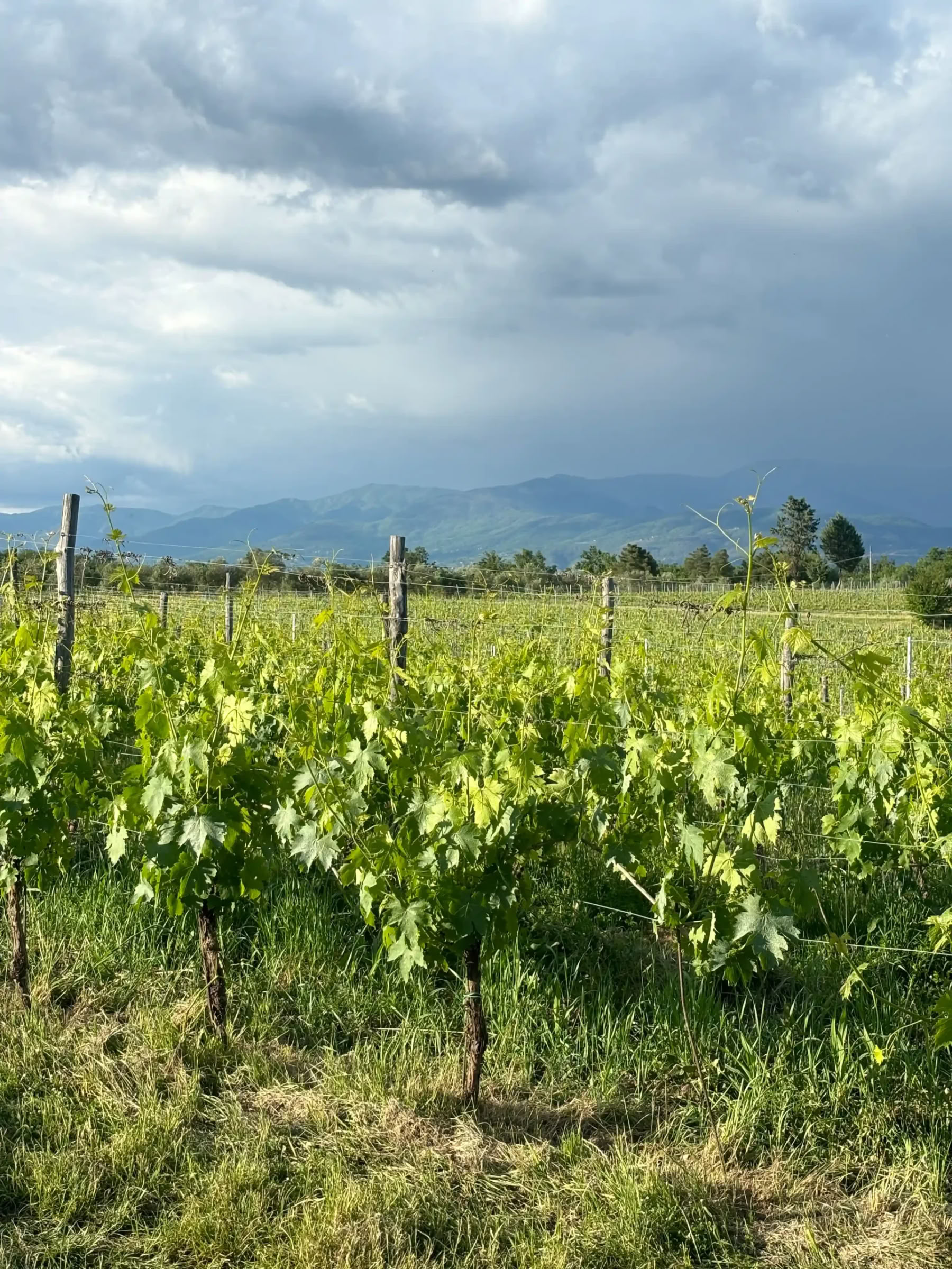 Retraite de yoga et de fitness en Toscane