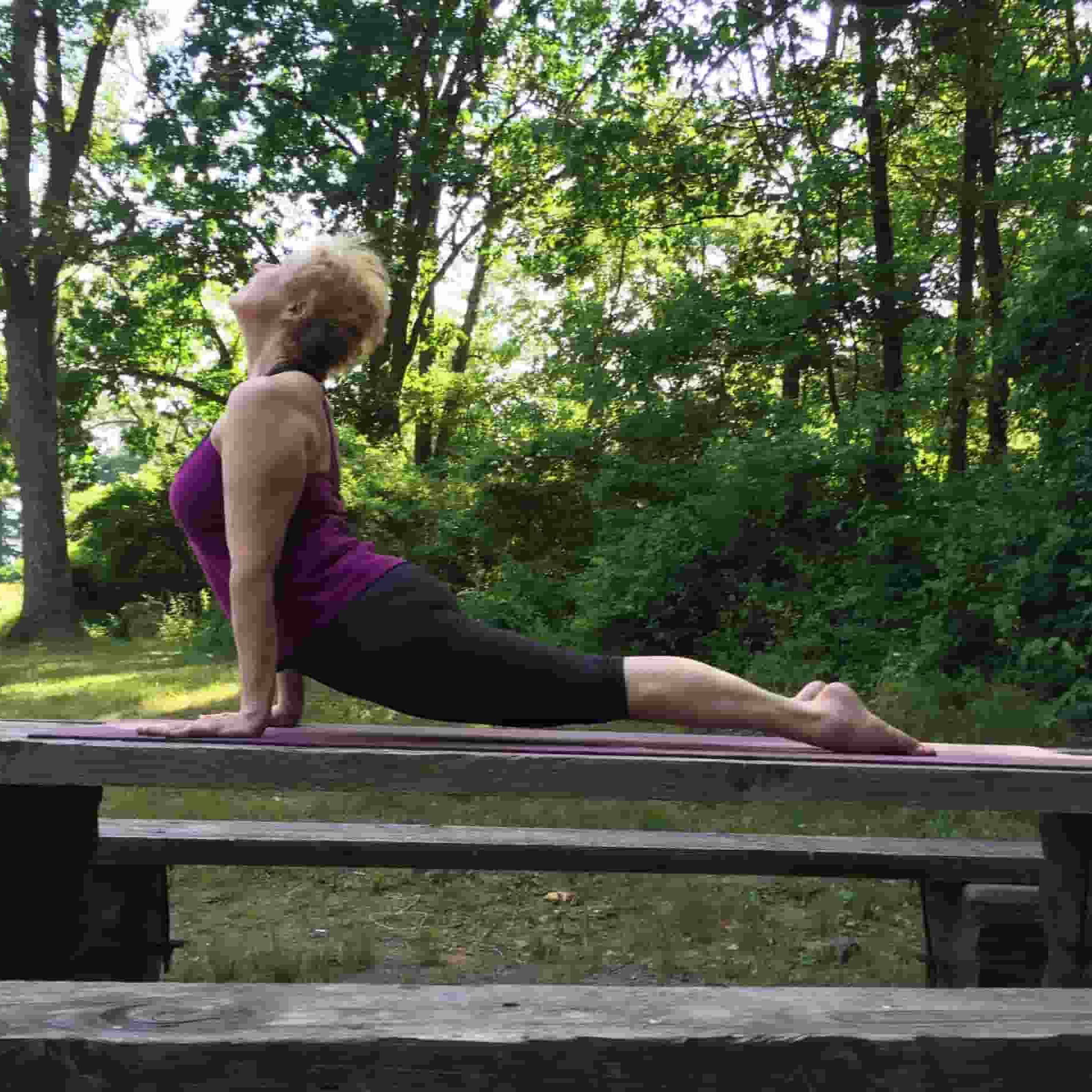 The Practice of Yoga, the Iyengar Way