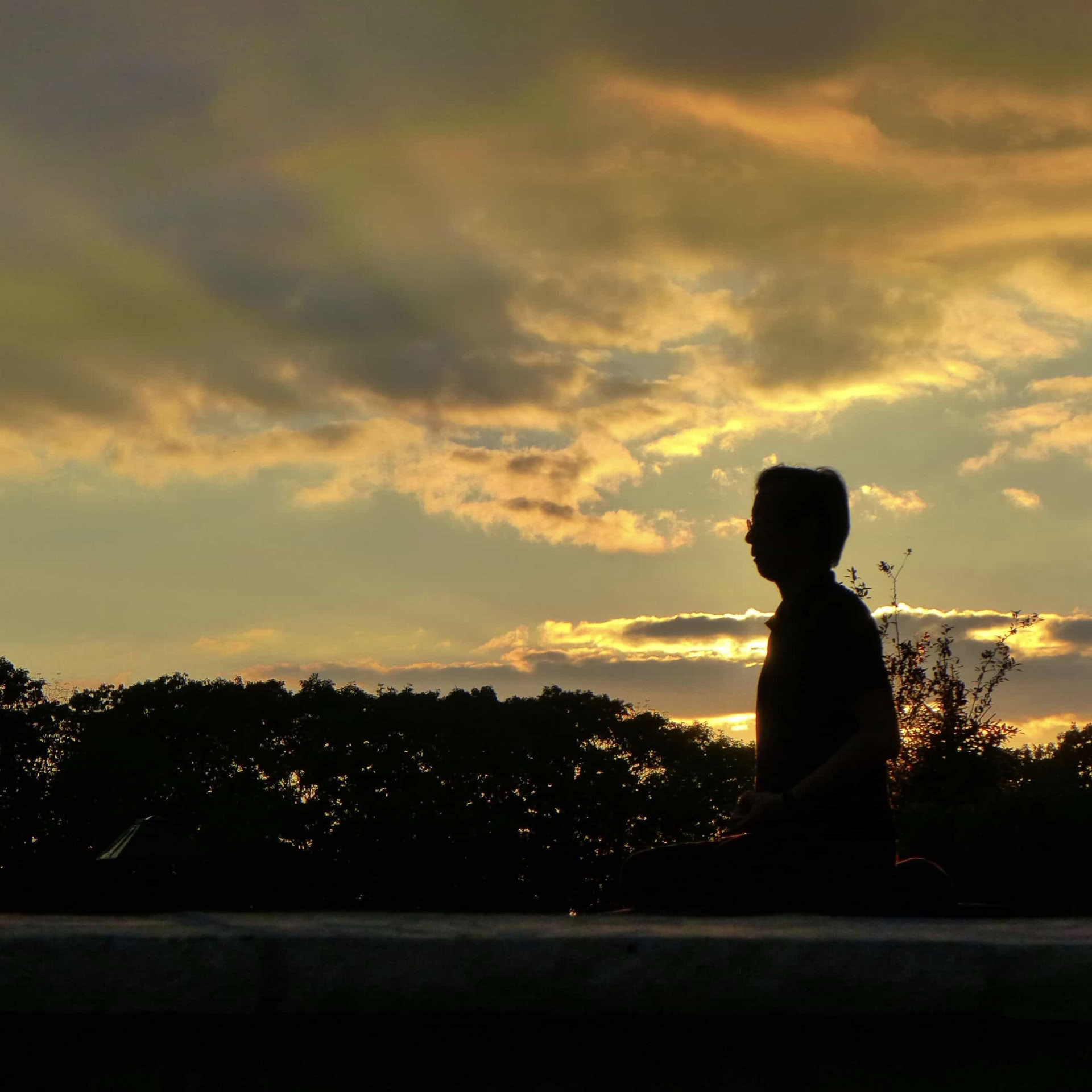 The Practice of Yoga, the Iyengar Way