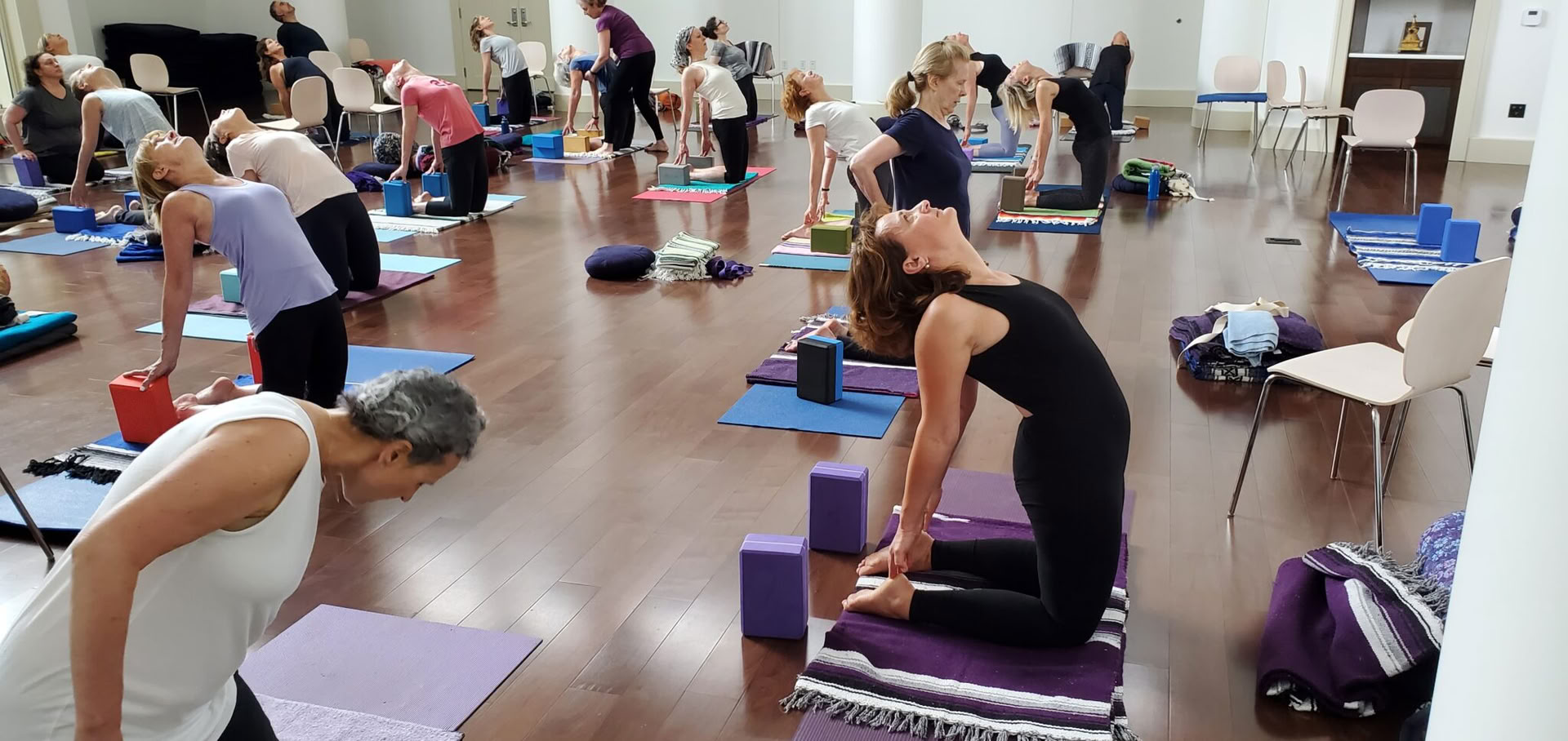 The Practice of Yoga, the Iyengar Way