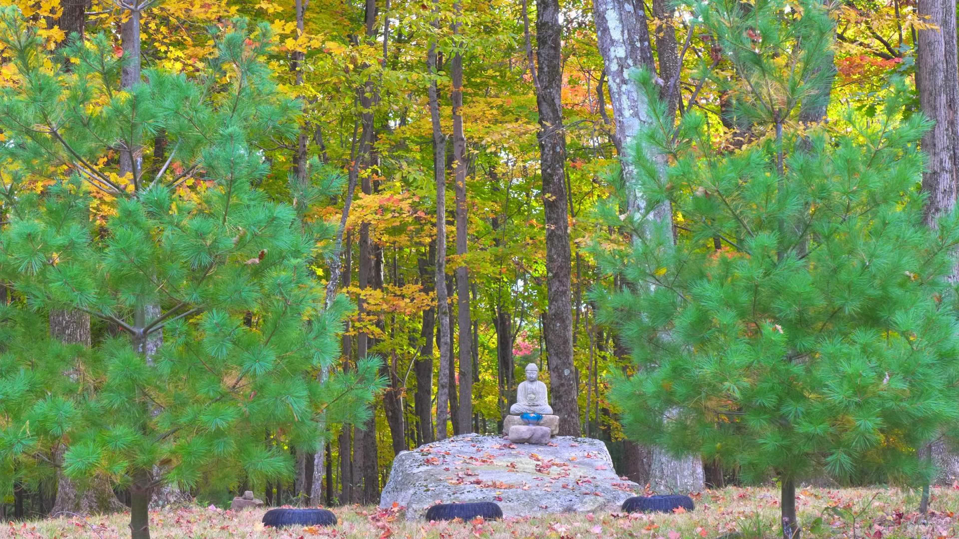 Retraite de la Sangha Triratna NY-NJ