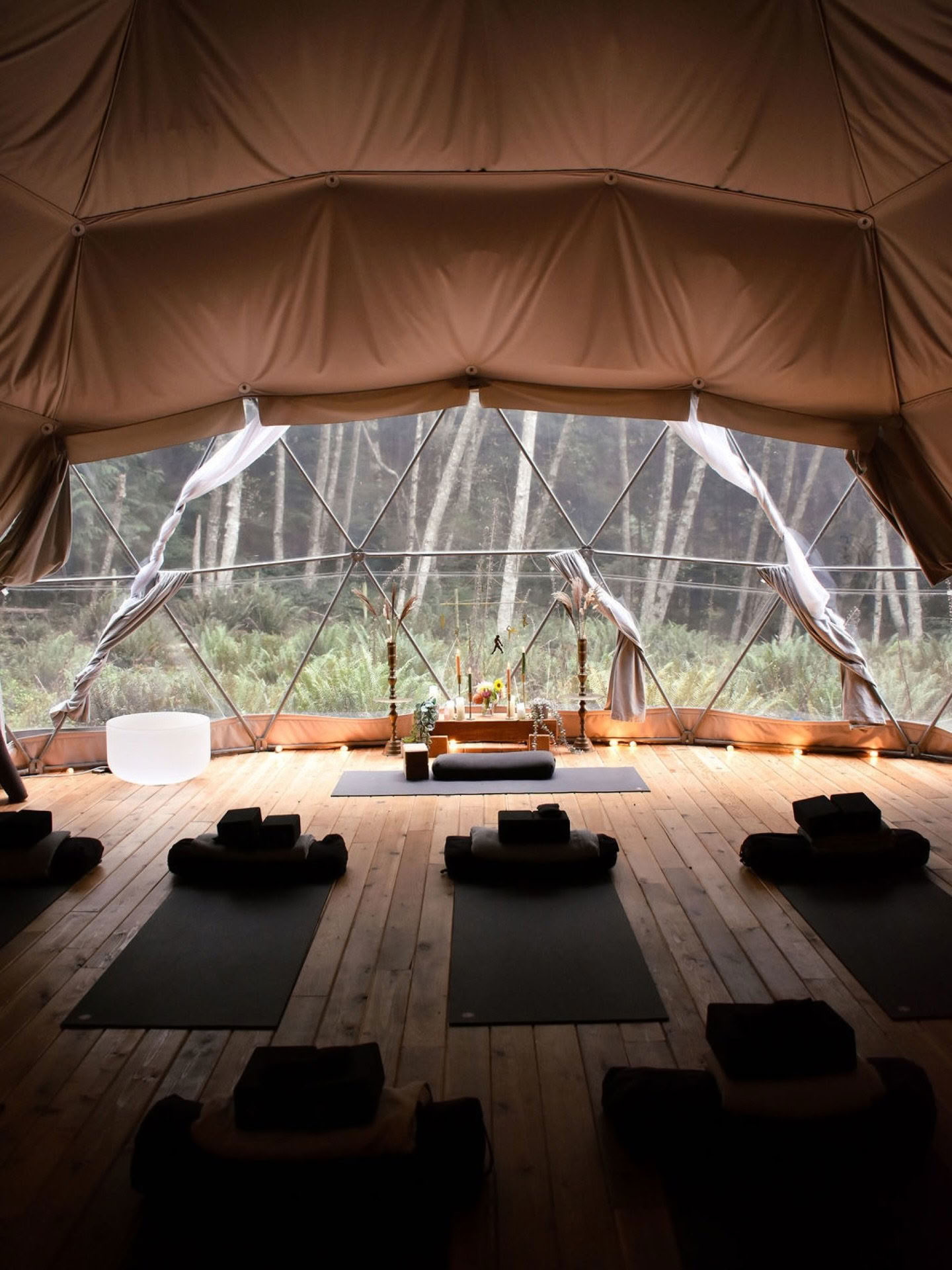 Retraite de mouvement en pleine conscience avec Edi Spanier — Nectar Yoga