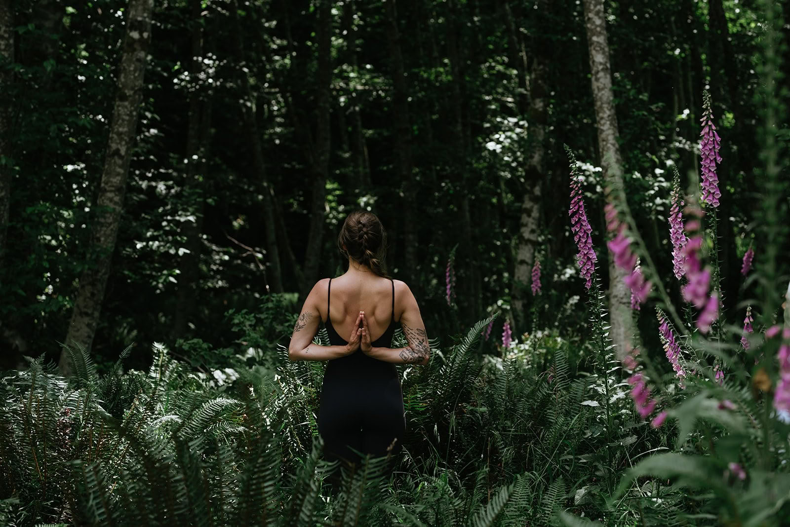 Solstice d'été : Un voyage de mouvement et de quiétude