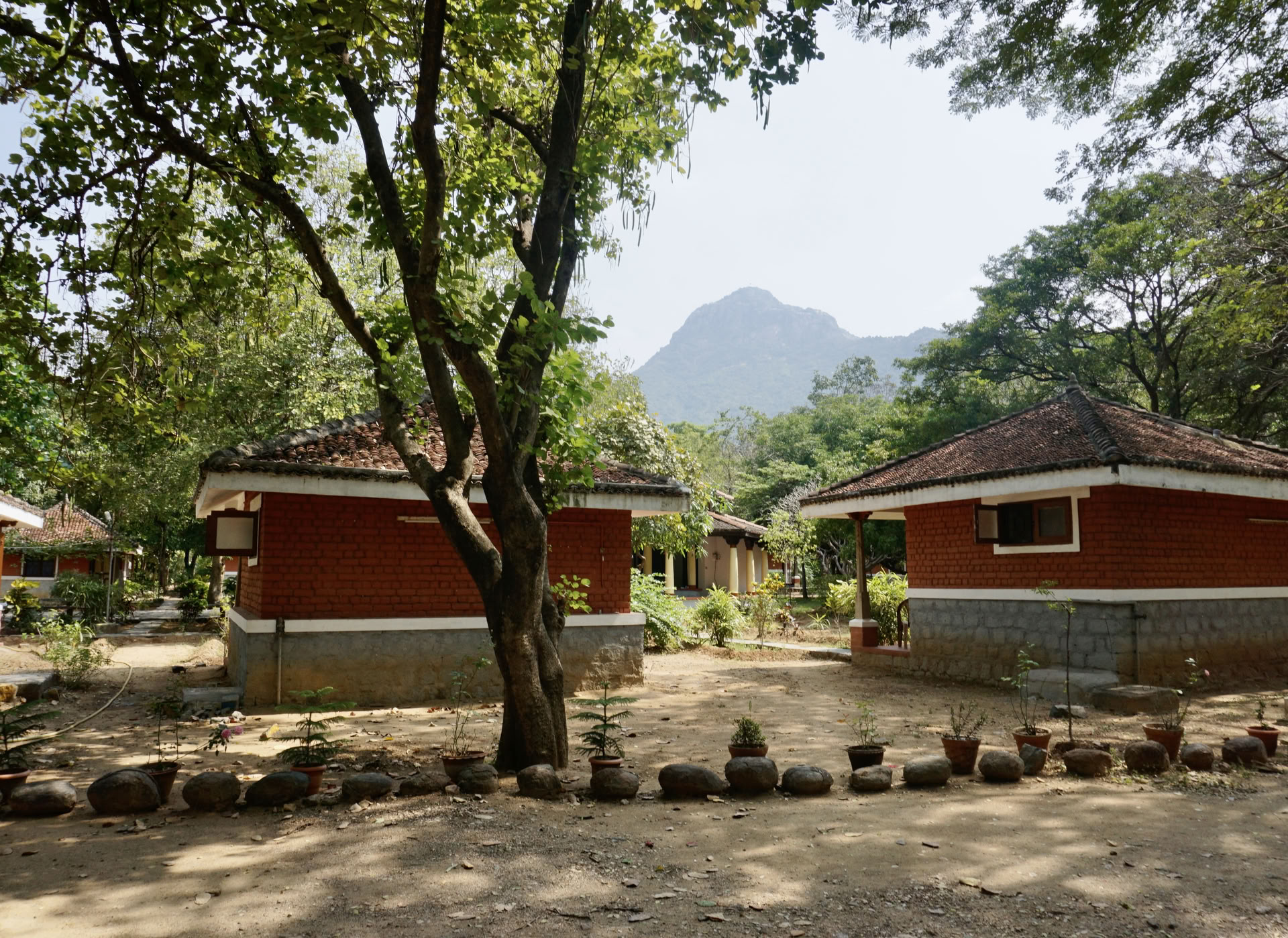 Retraite silencieuse de méditation et détox de 21 jours à l’ashram en Inde