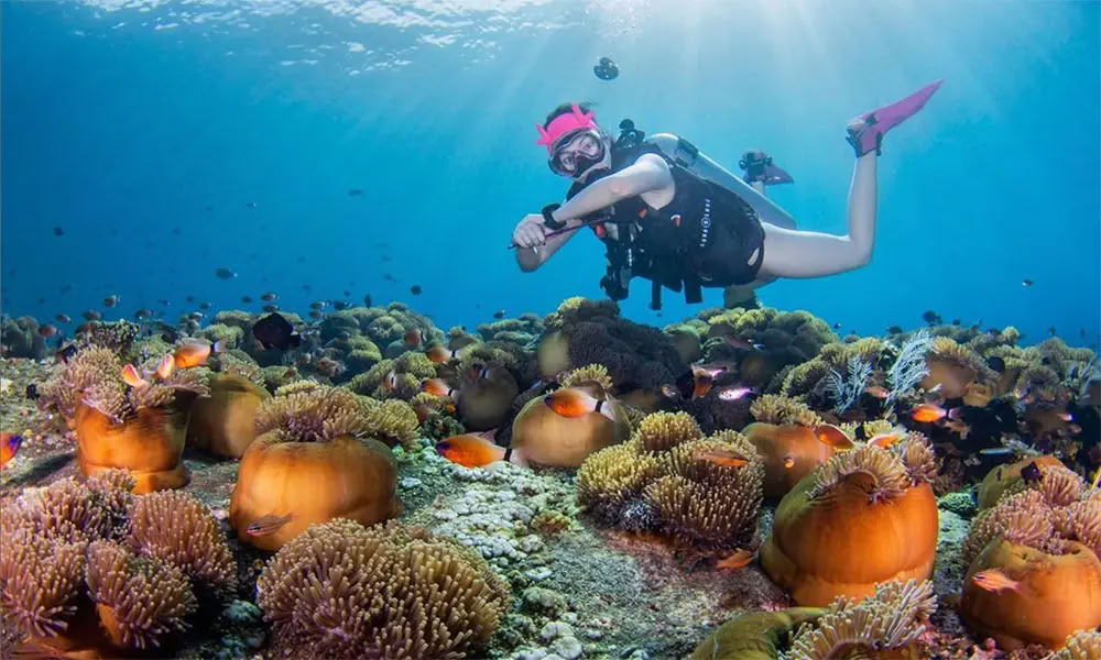 Plongée à l’île de Menjangan