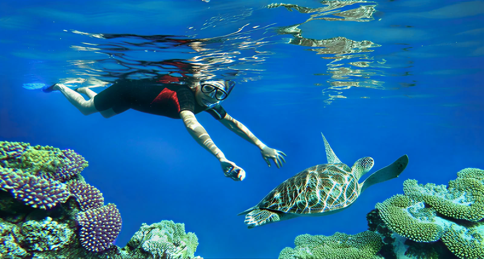 Reef Adventures: Snorkeling à Lovina