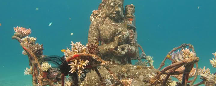 Tour de Pemuteran avec snorkeling