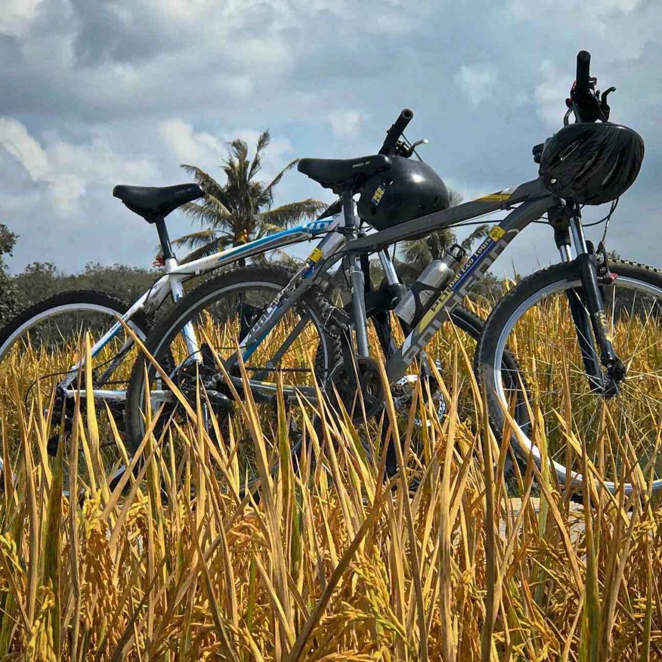 Échappée cycliste culturelle