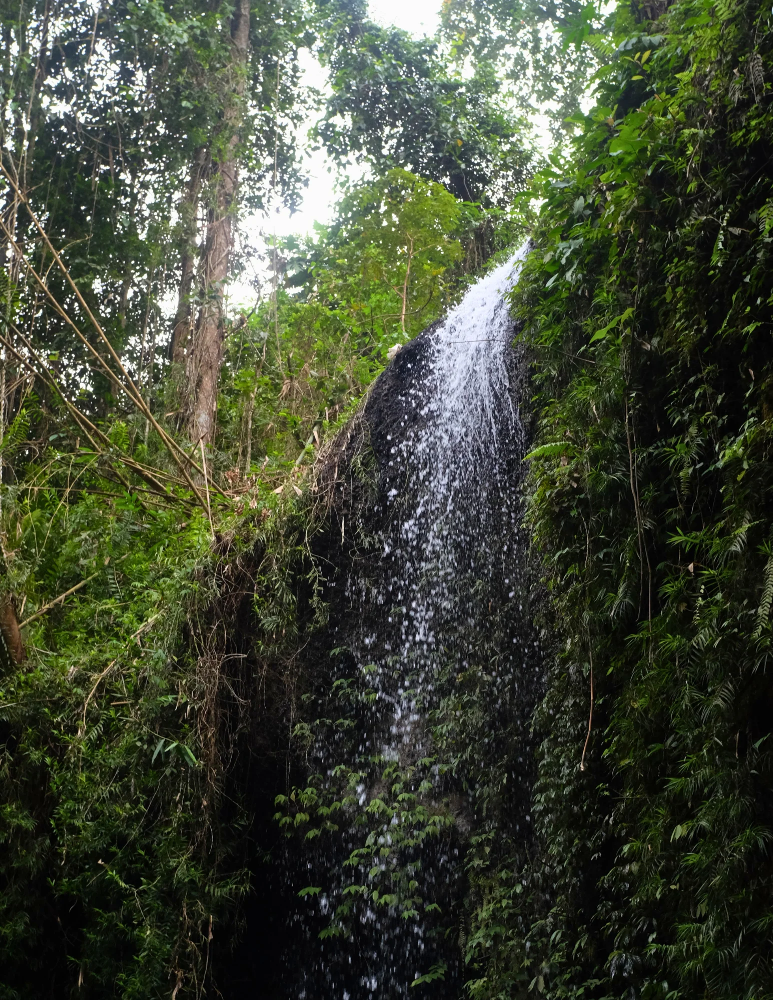 De Jungle Trails à la paix intérieure