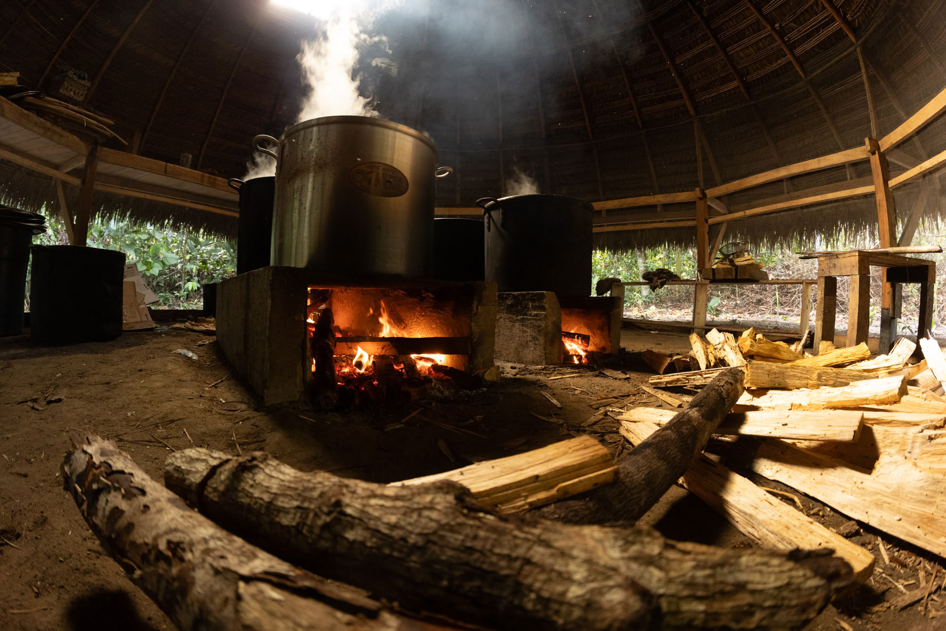 Retraite ayahuasca ouverte à Psychonauta Tribe