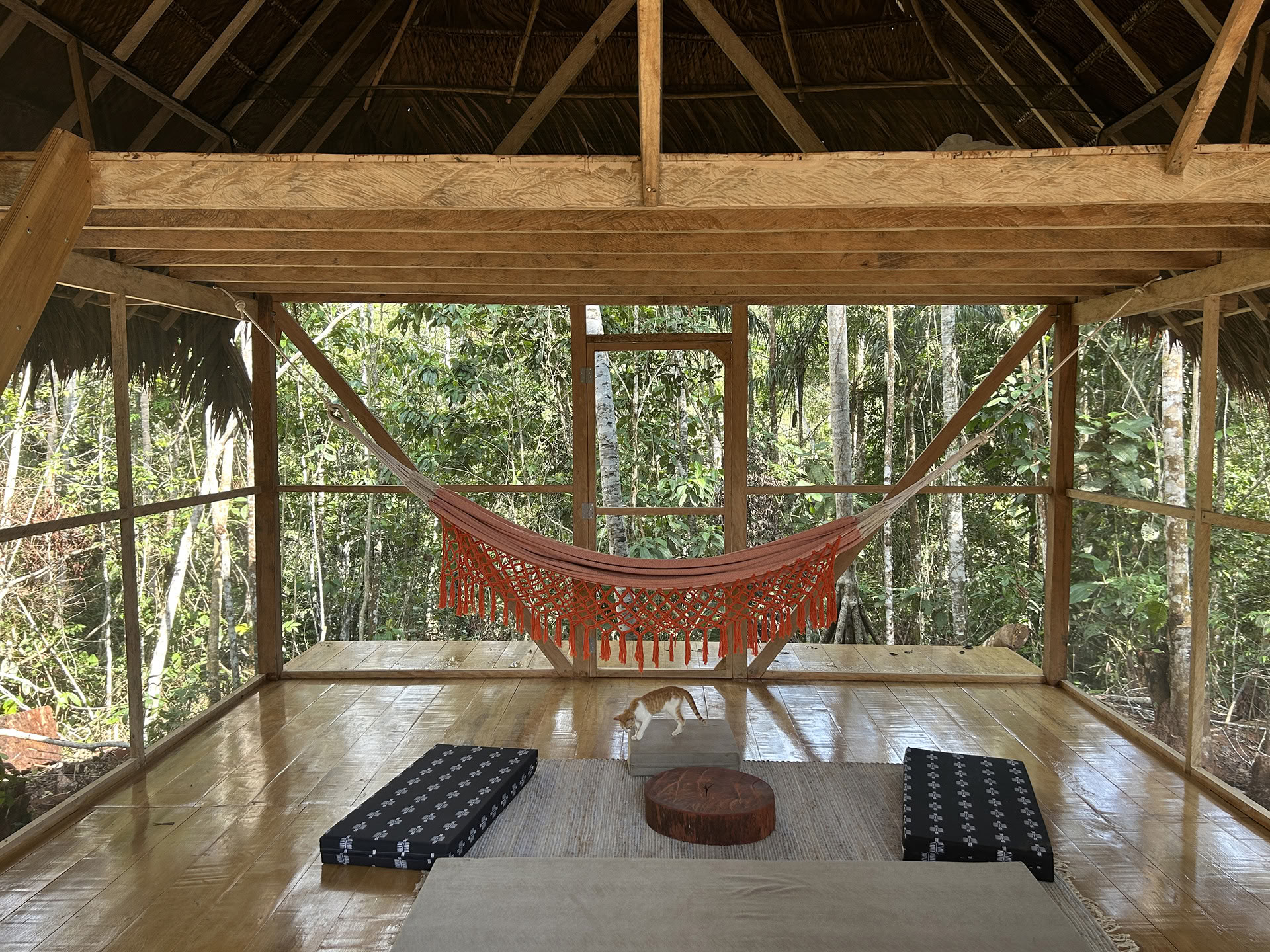 Retraite ayahuasca ouverte à Psychonauta Tribe