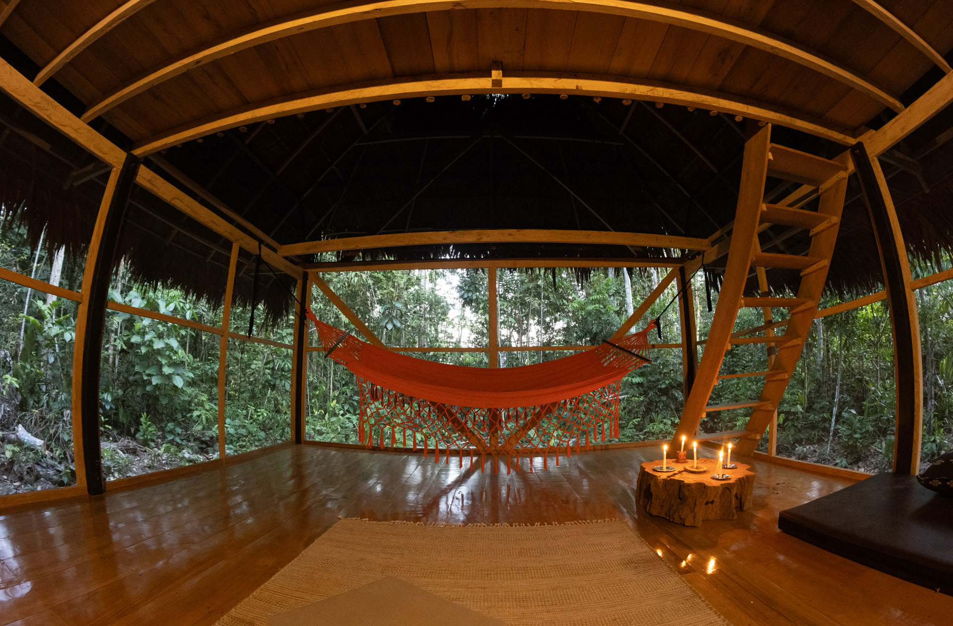 Retraite ayahuasca ouverte à Psychonauta Tribe