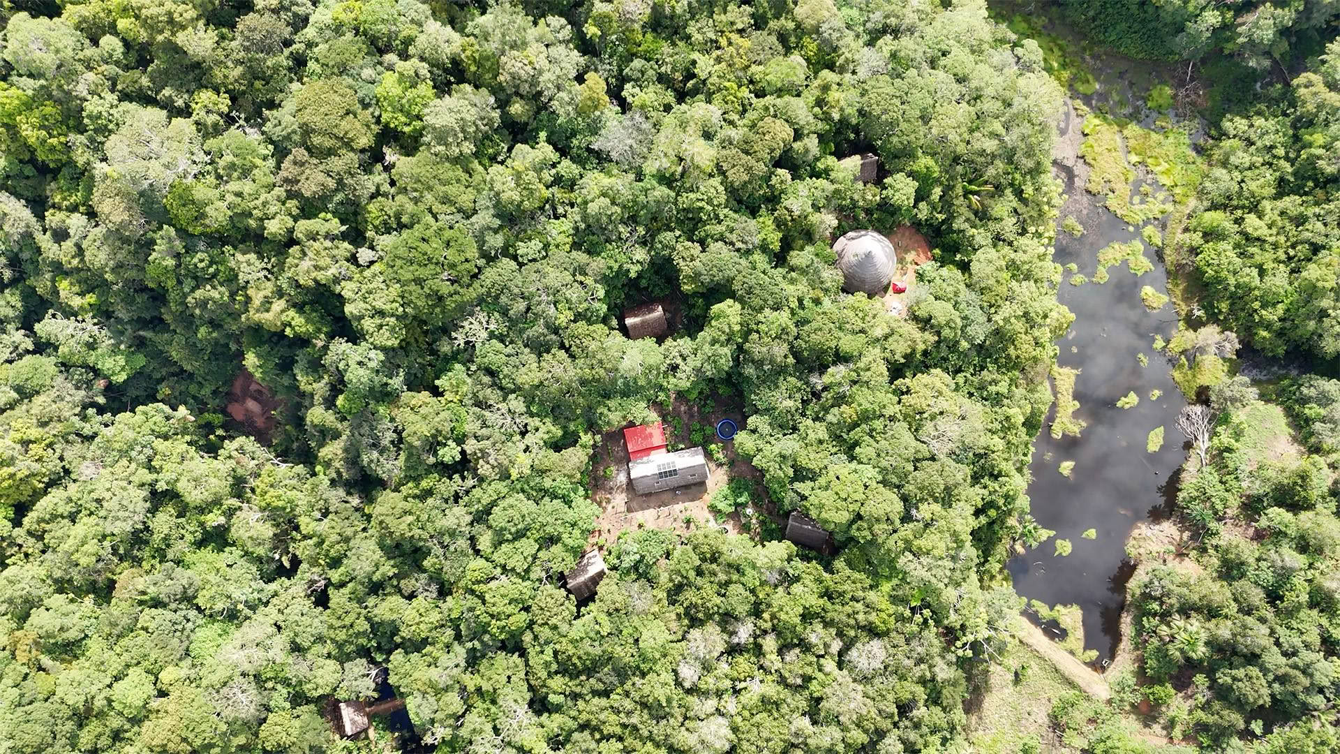 Retraite ayahuasca ouverte à Psychonauta Tribe
