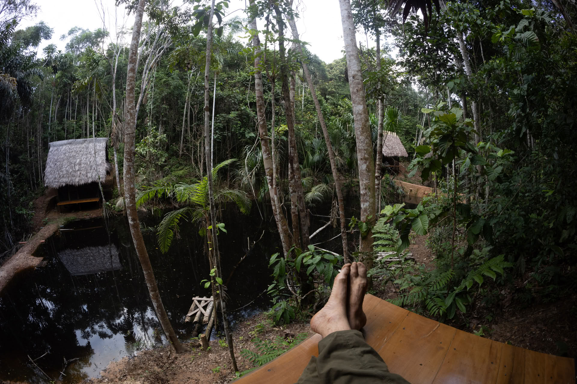 Retraite ayahuasca ouverte à Psychonauta Tribe