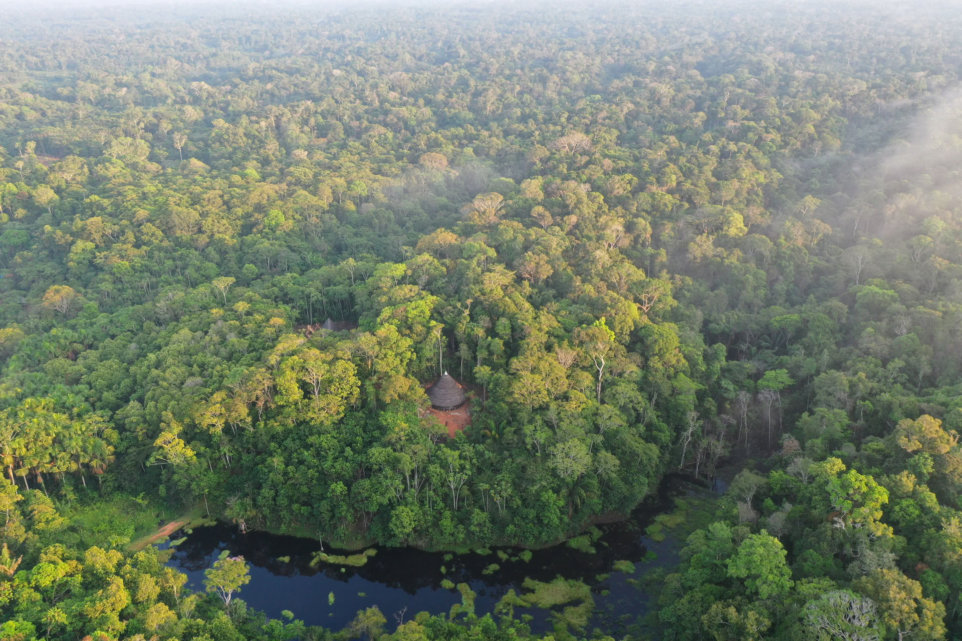 Retraite ouverte à l’ayahuasca
