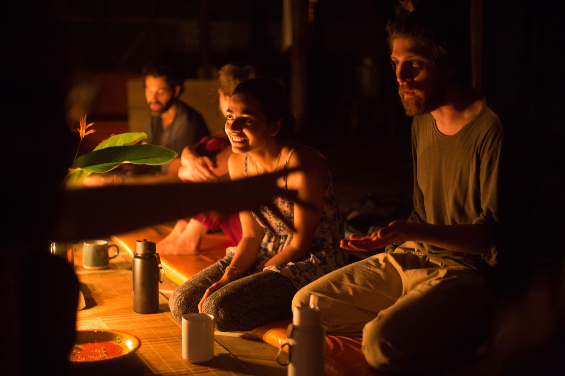 Retraite ouverte à l’ayahuasca