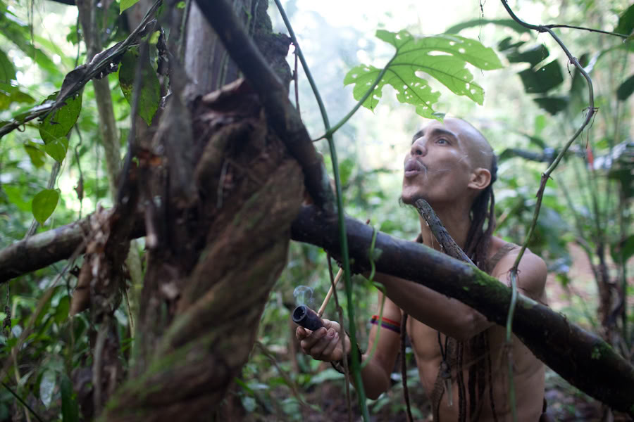 Retraite d’Ayahuasca & Dieta des Plantes Maîtresses au Pérou