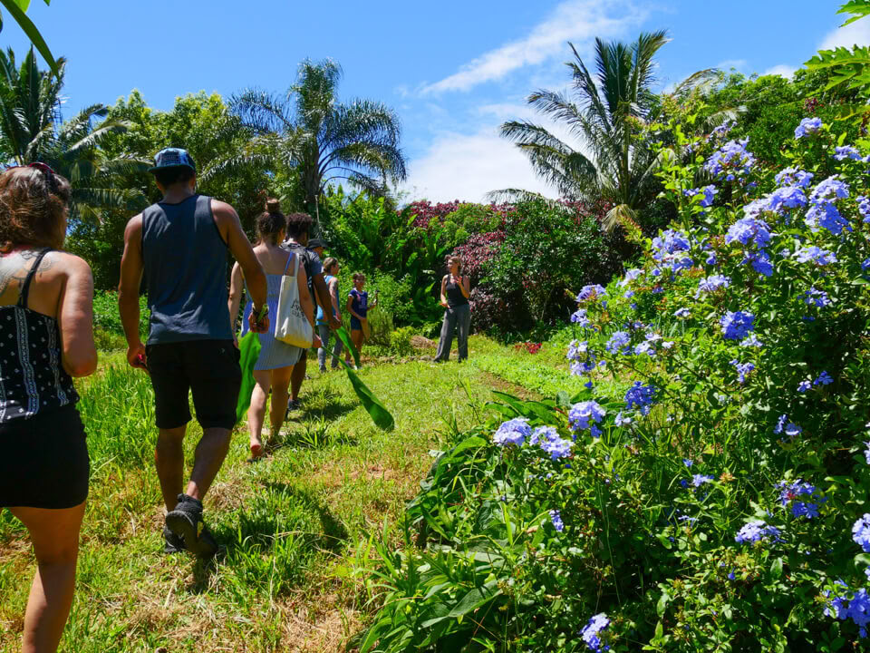 Visite de la ferme Aloha Maui