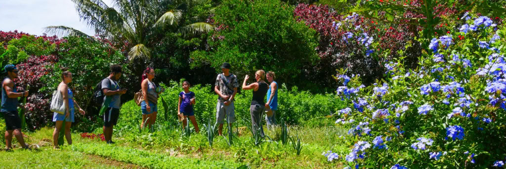 Visite de la ferme Aloha Maui