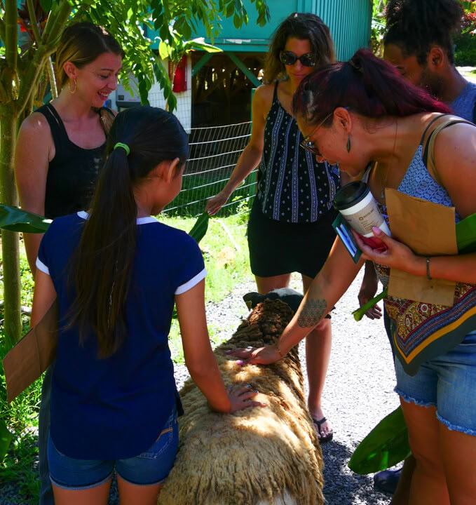 Visite de la ferme Aloha Maui