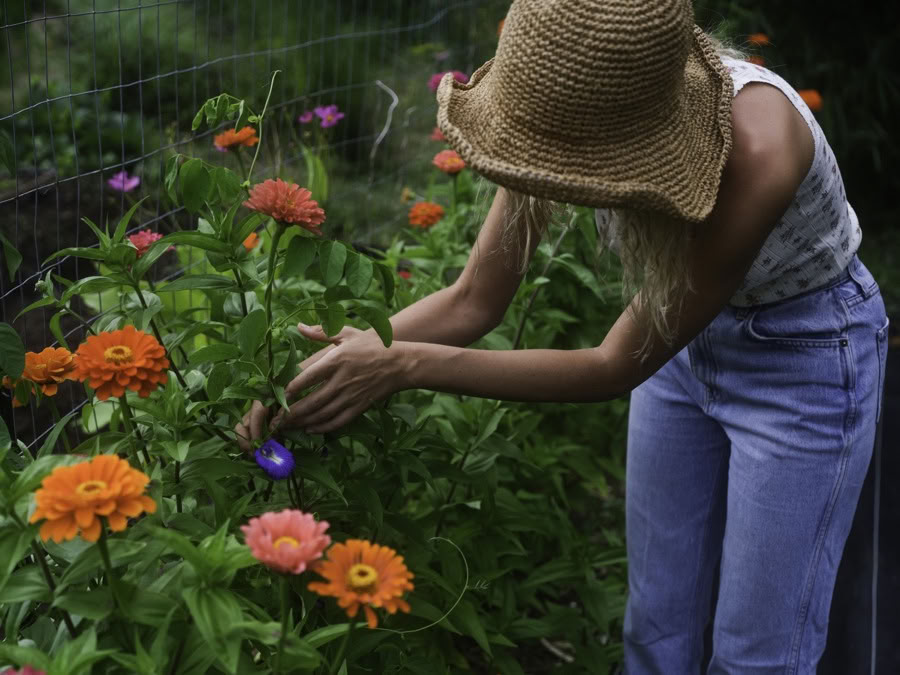 Visite de la ferme Aloha Maui