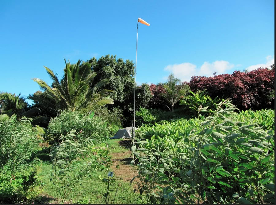 Visite de la ferme Aloha Maui