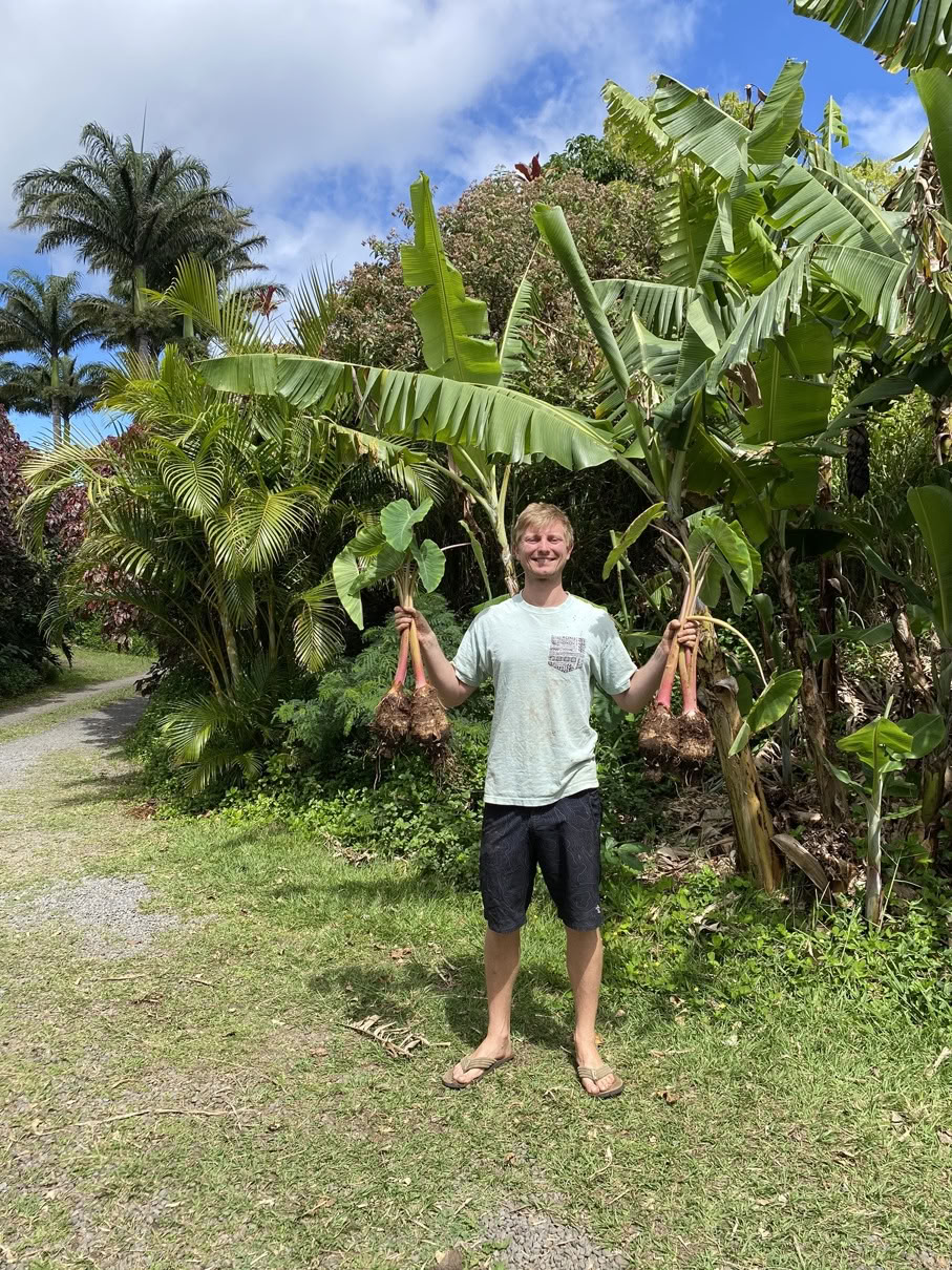 Cours de Hula avec Mohala