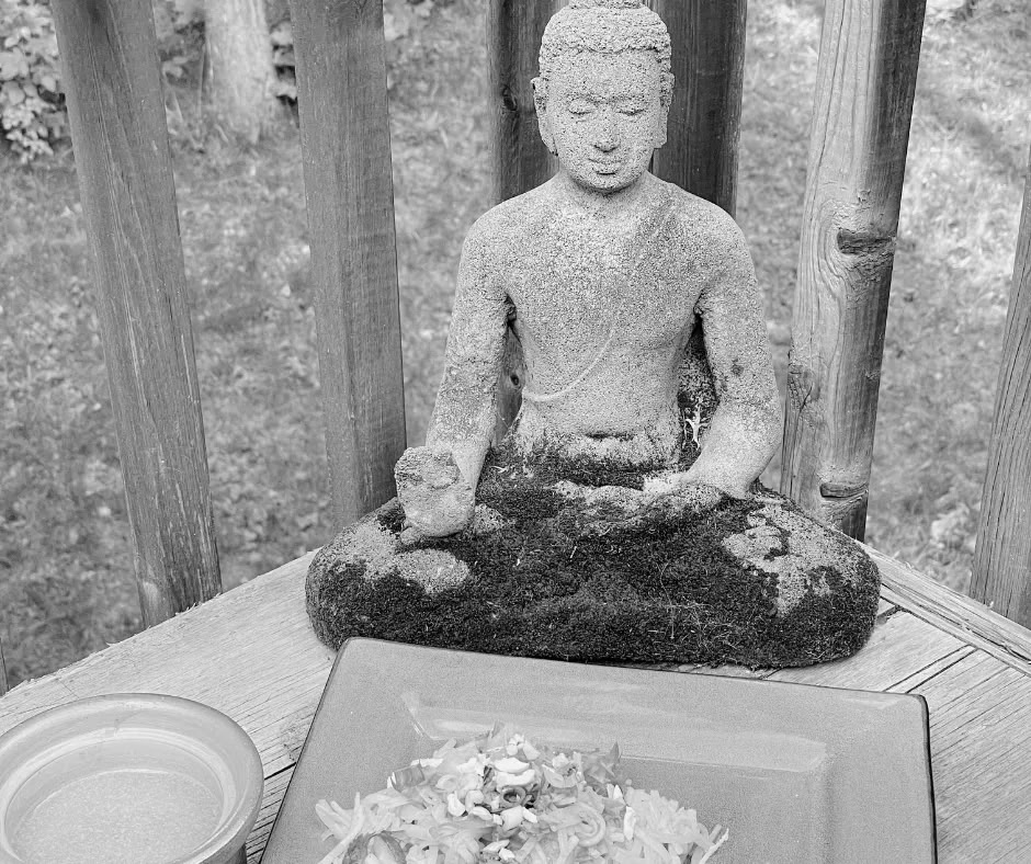 Retraite Bien-être d'Acupuncture Saisonnière