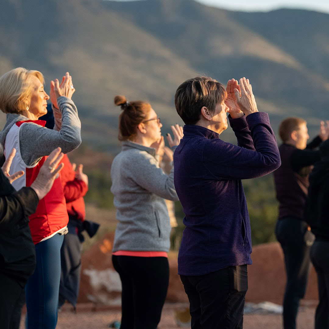 Tao Natural Healing Cours avancé
