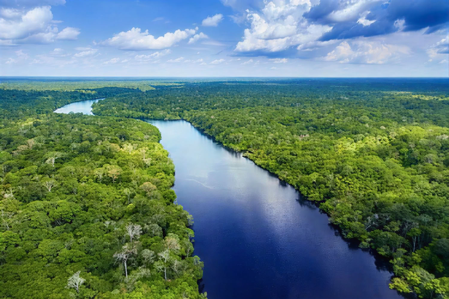 Retraite Ayahuasca