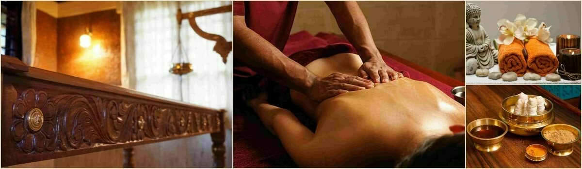 Cours d'Ayurveda (Fondation) – décembre 2026
