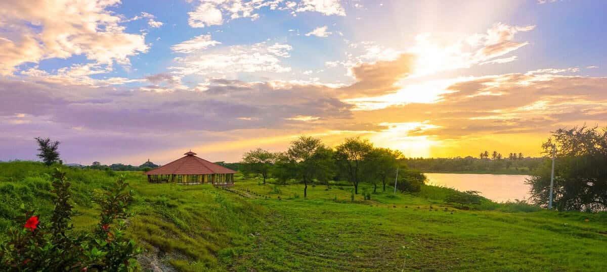 Formation de professeur de yoga de 200 heures en Inde – 6 octobre - 3 novembre 2026