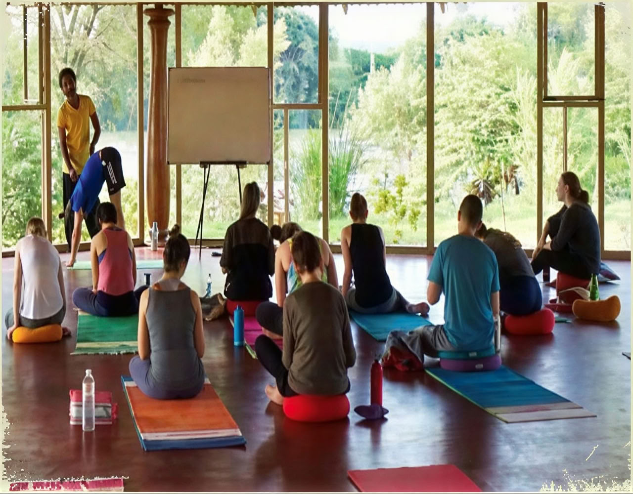 Formation avancée de professeur de yoga en Inde – 14 novembre - 12 décembre 2026