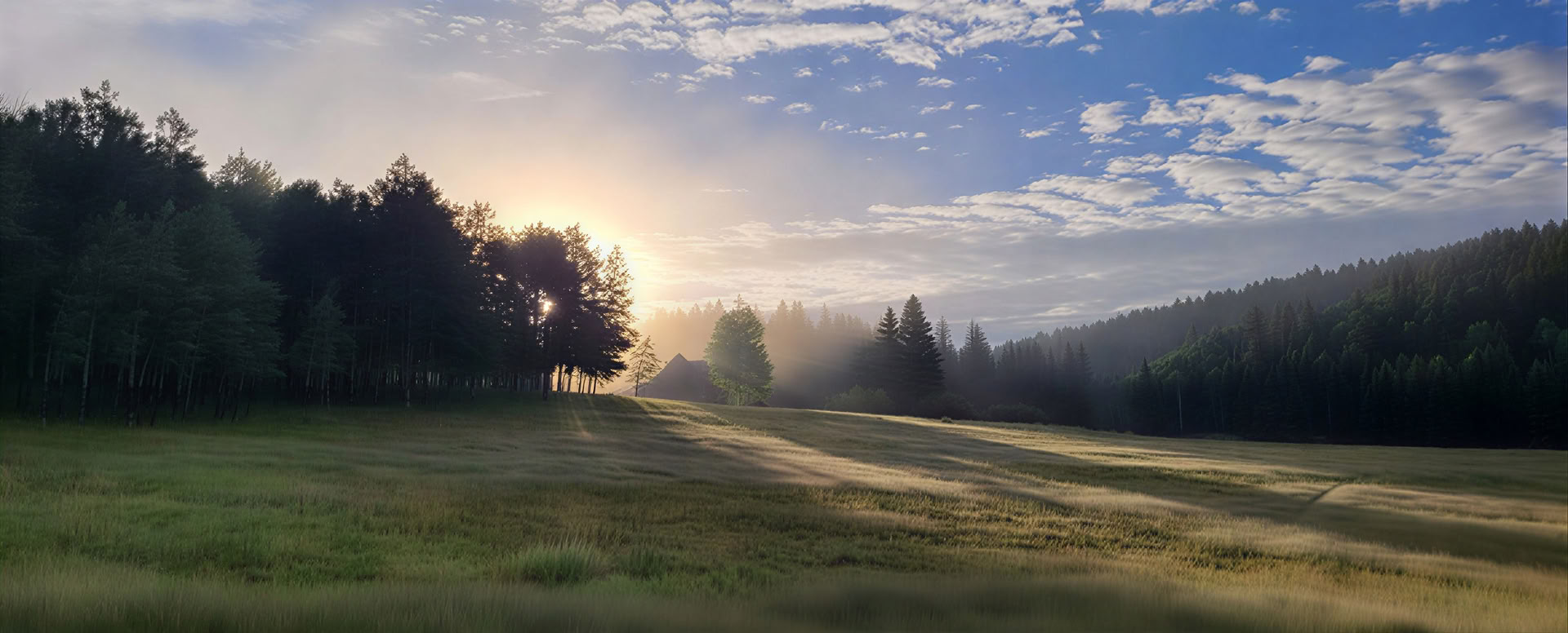 Awake in the Wild (octobre) : Explorer la sagesse et l’éveil dans la nature