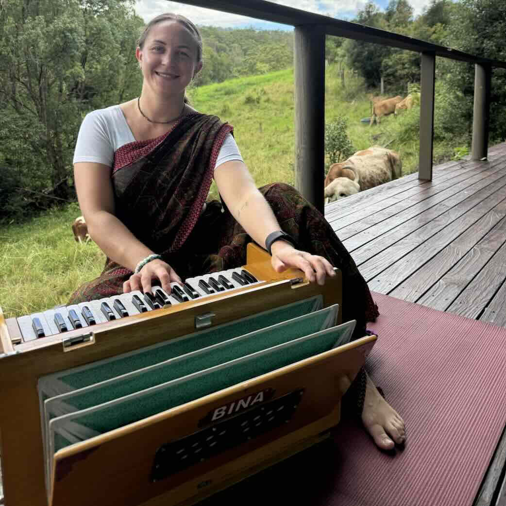 Leçon privée d’harmonium - 1 heure