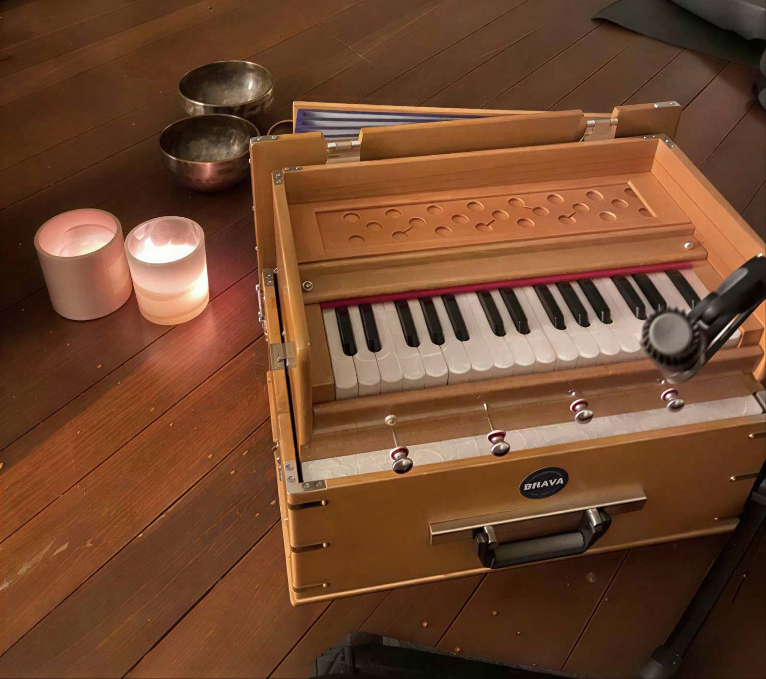Apprenez à diriger le Kirtan" Immersion