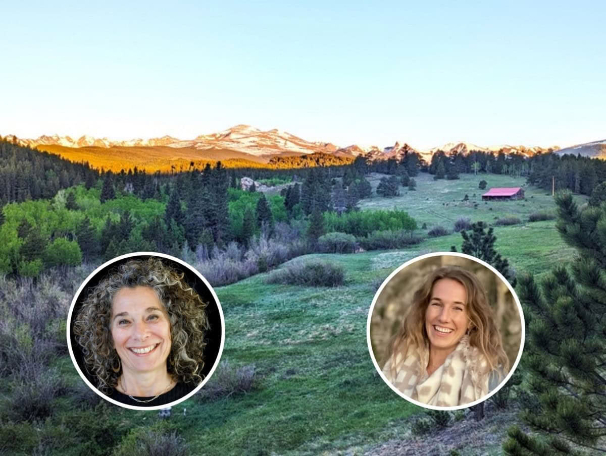 Zen Sesshin, Ecodharma et retraite Nature Kinning