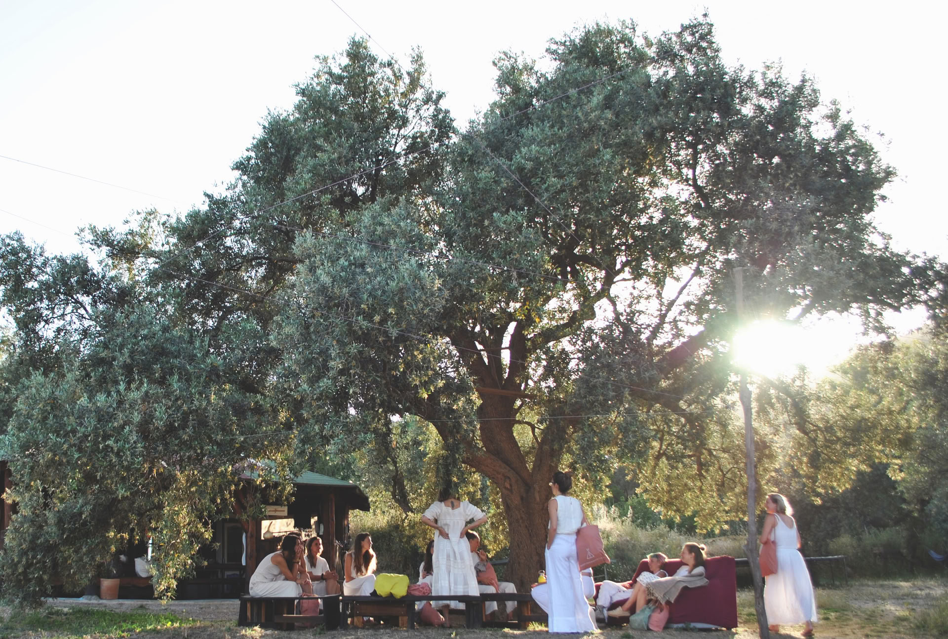 Femmes de la Nouvelle Terre