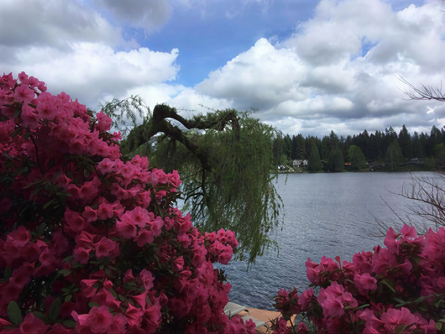 Cottage Lake Bed and Breakfast Retraite Spirituelle