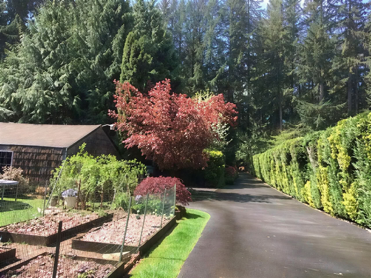 Cottage Lake Bed and Breakfast Retraite Spirituelle